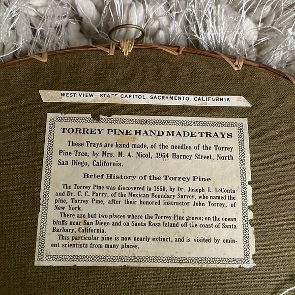 Vintage Set of Two Torrey Pine Handmade Trays - CA State Capitol - Picture 3 of 6